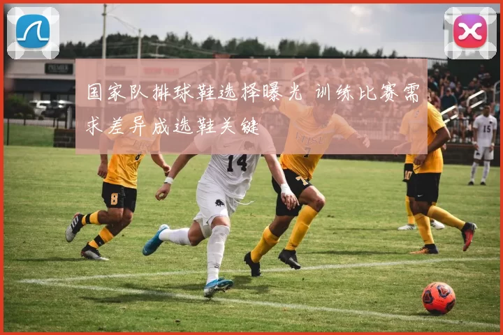 国家队排球鞋选择曝光 训练比赛需求差异成选鞋关键