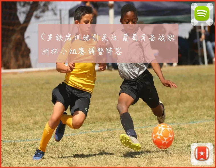 C罗缺席训练引关注 葡萄牙备战欧洲杯小组赛调整阵容